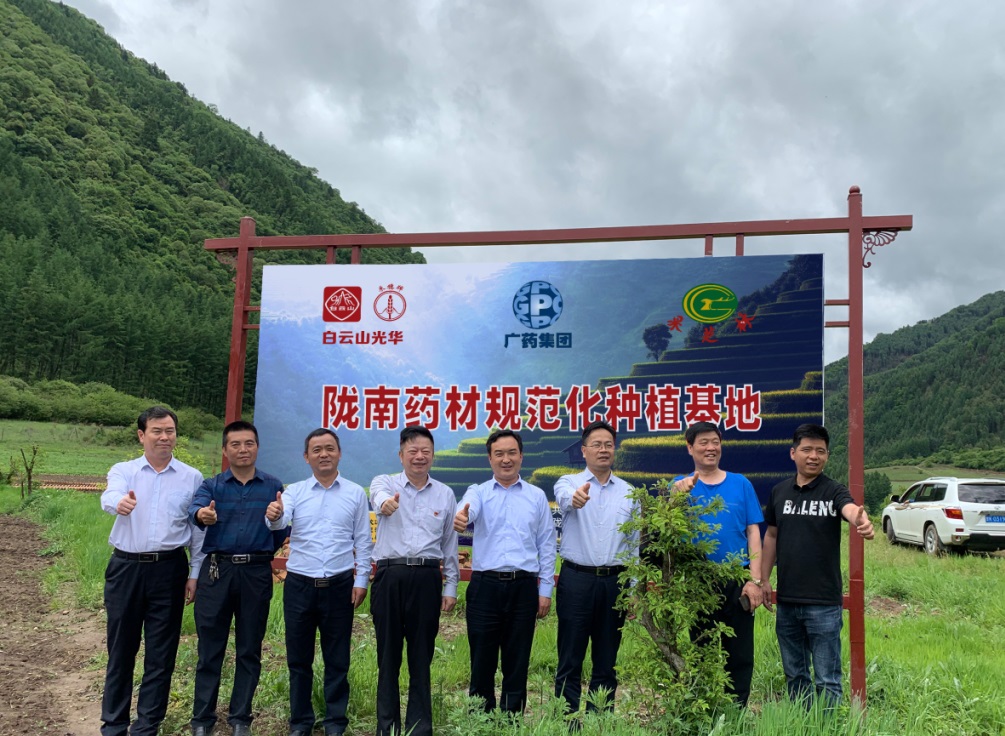 ҩ�ĺ���ҩ�ź� ��������ɽС�������������淶��ݪֲ������ʽ���ƣ�