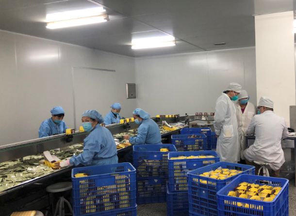 ������������ʹ���ڼ硿ά��������Ʒ��vic������֧����֯Ա����ǰ������������